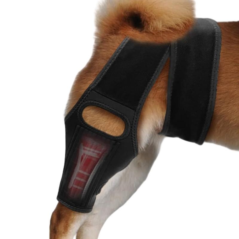 Dog Knee Brace Dog Hip Dysplasia Brace With 10 Support Sticks Comfortable Hip And Leg Protector Brea