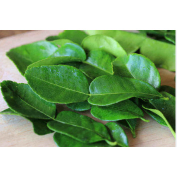 

Daun Jeruk Purut Segar Per Pack 250 gr
