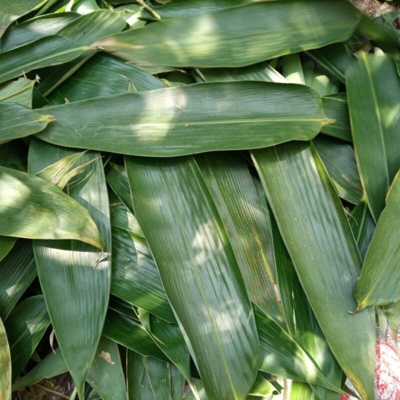 

Daun bambu kicang|bakcang daun bambu campuran muah1lkg