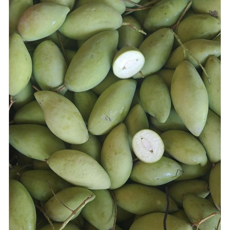 

PROMO AMBYAR Mangga Muda 1kg | Mangga untuk Rujak | Mangga Rujak TERBAIK
