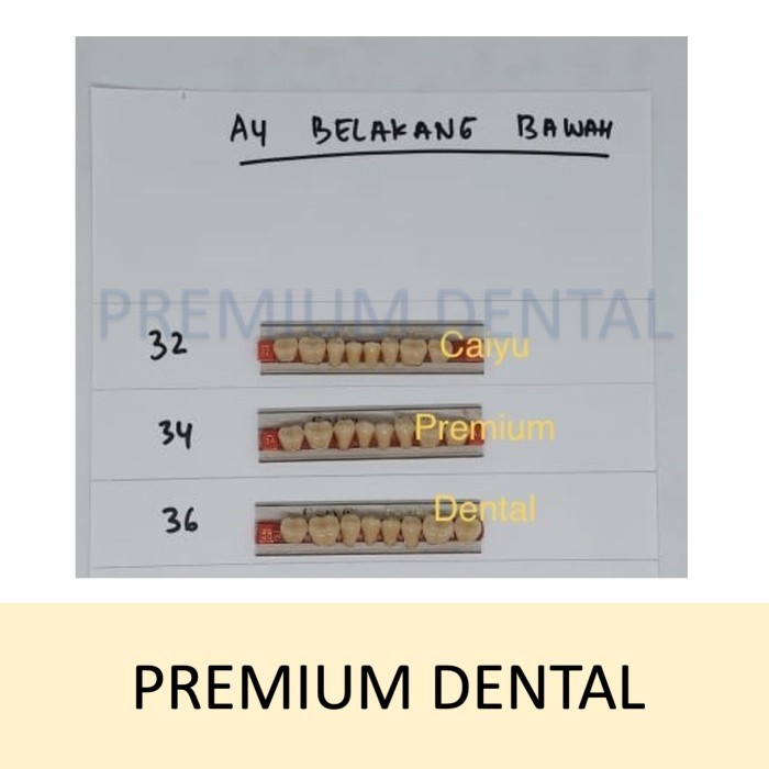 gigi palsu caiyu A4 belakang bawah