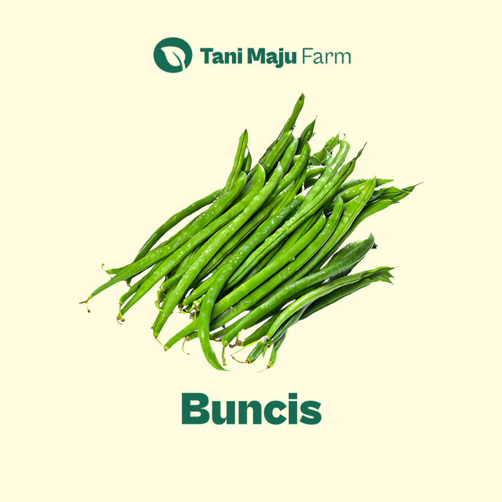 

Buncis Fresh Organik (250 gram) - Sayuran BRKAH