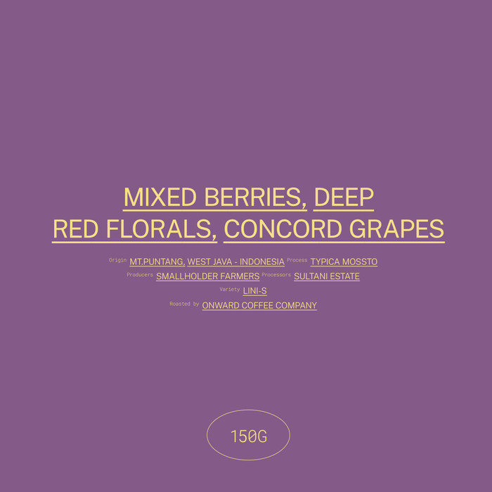 

west java MT. PUNTANG - filter roast