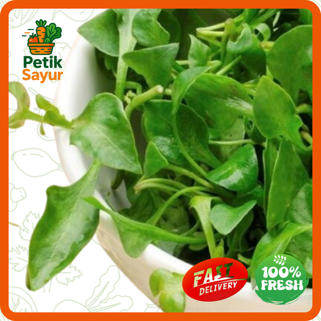 

Selada Air Konvensional 250 gram PetikSayur