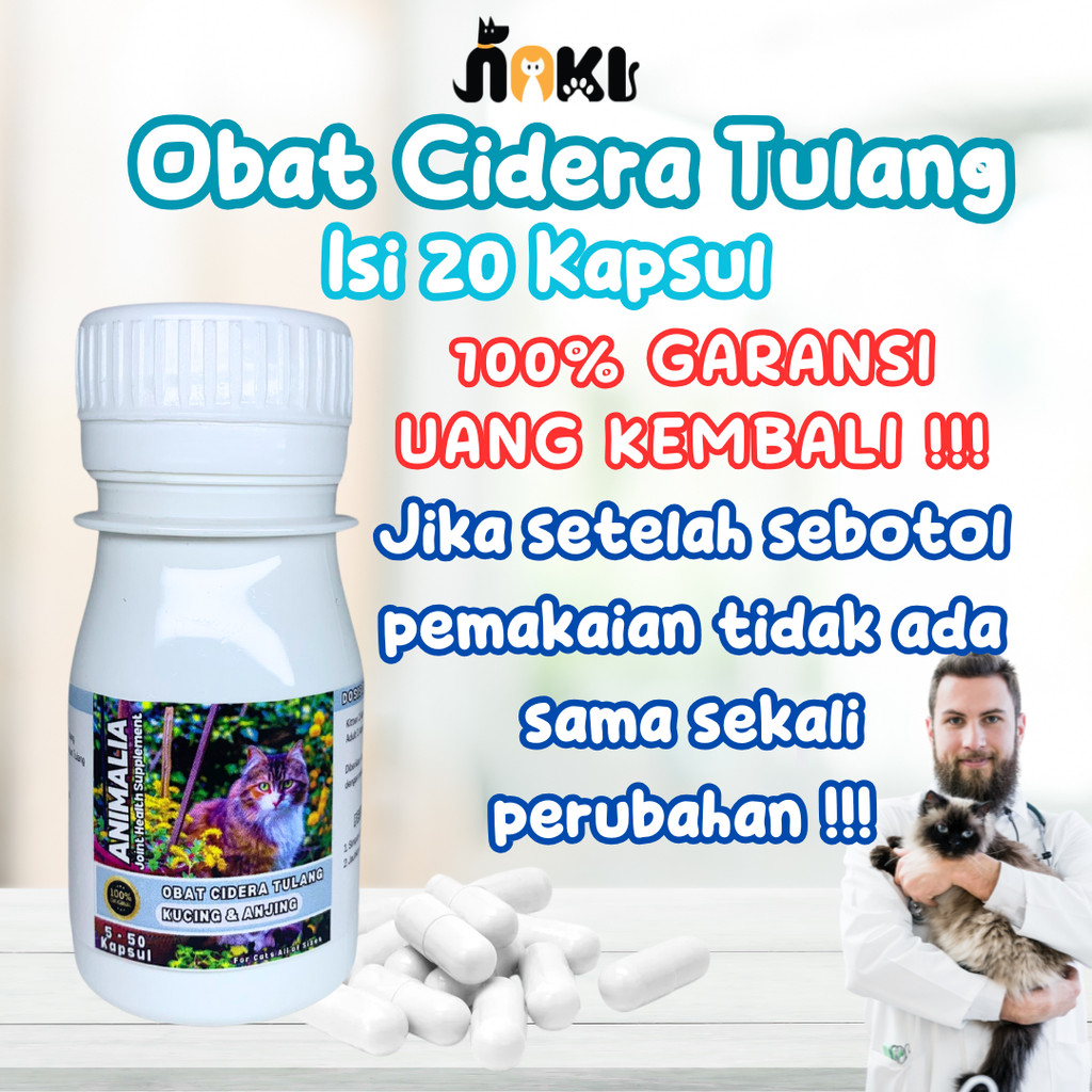 VITAMIN OBAT KUCING LUMPUH PENGUAT TULANG CEDERA TULANG