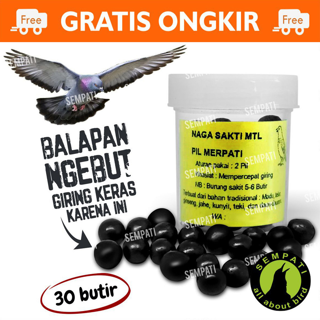 SEMPATI PIL HITAM GINSENG TEKI ISI 30 BUTIR KEKET MERPATI BALAP OBAT DOPING MERPATI BALAP CEPAT GIRI