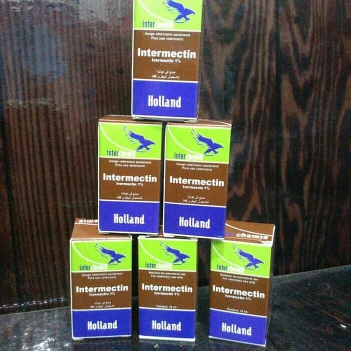 Intermectin Obat Scabies Injeksi