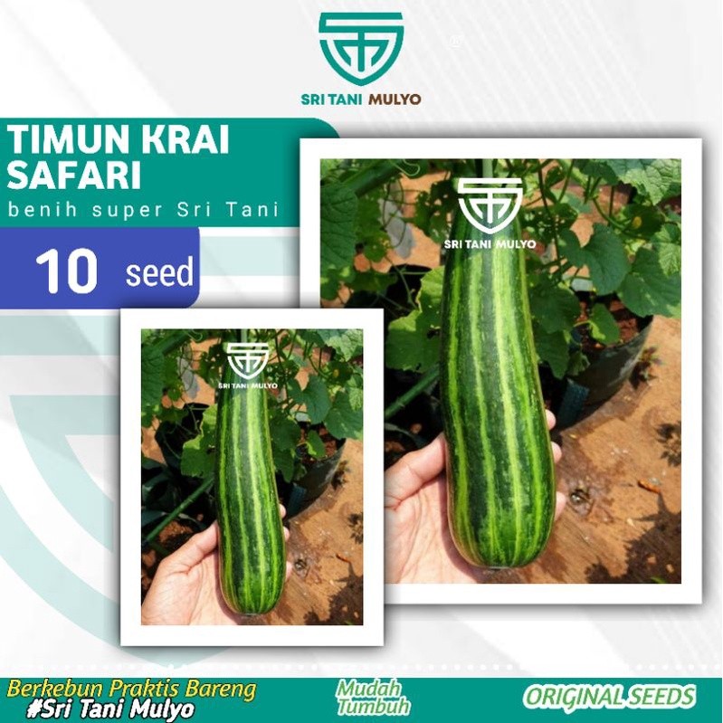 10 Biji - Benih Timun Krai SAFARI - Bibit Timun Unggul Bibit Sayuran Timun Unik