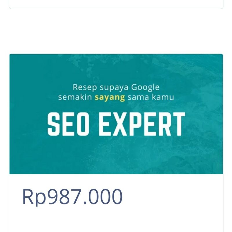 THE BEST ECOURSE SEO EXPERT DIGITAL MARKETING ONLINE INTERNET PELUANG USAHA  BONUS