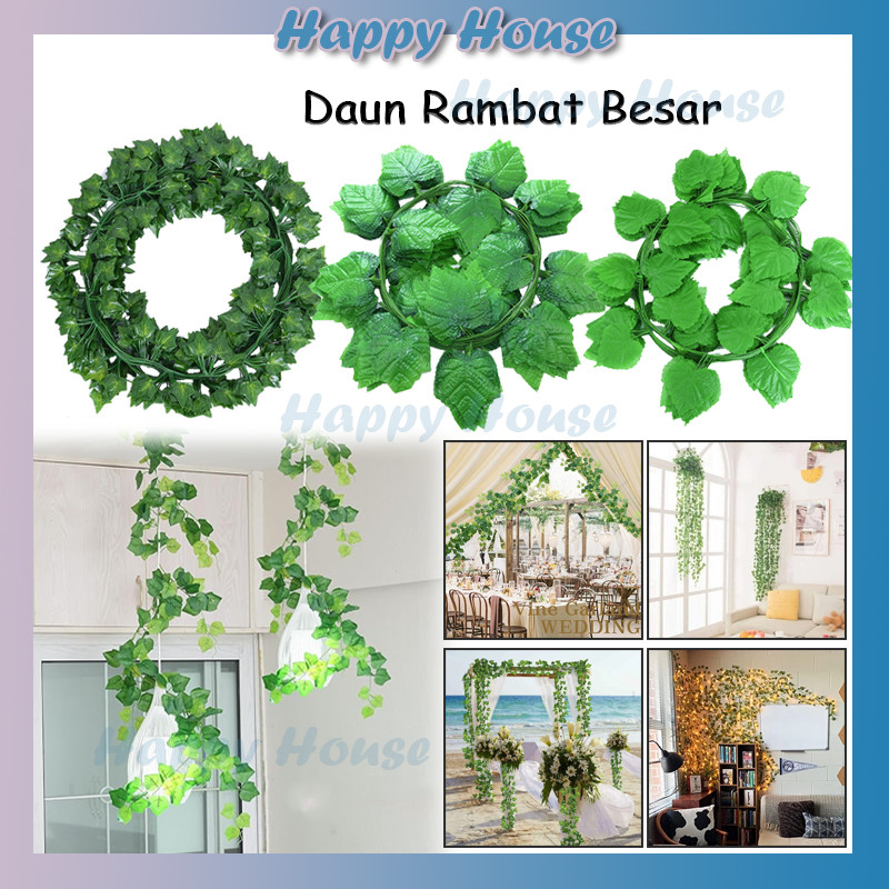 Daun Sulur / Daun Hias / Daun Rambat Palsu / Daun Hias Rambat
