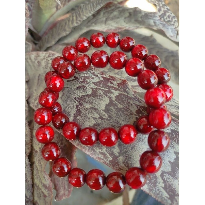 GELANG TASBIH FOSIL AKAR BAHAR ASLI MERAH DELIMA TEMBUS CAHAYA