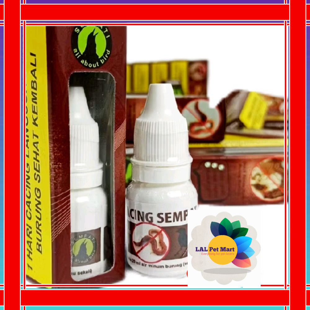 obat cacing burung sempati cacingan kurus lesu murai kacer lovebird anis kemari dan semua burung