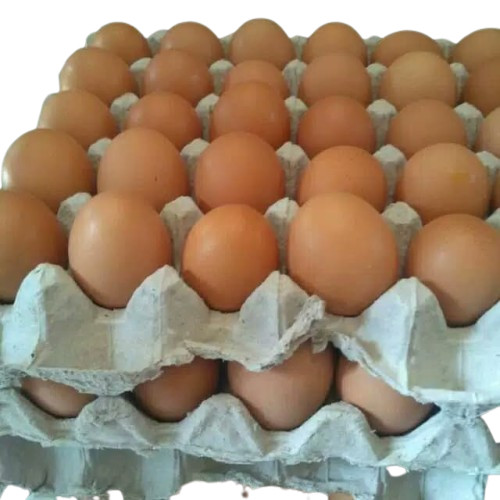 

telur ayam 30pc