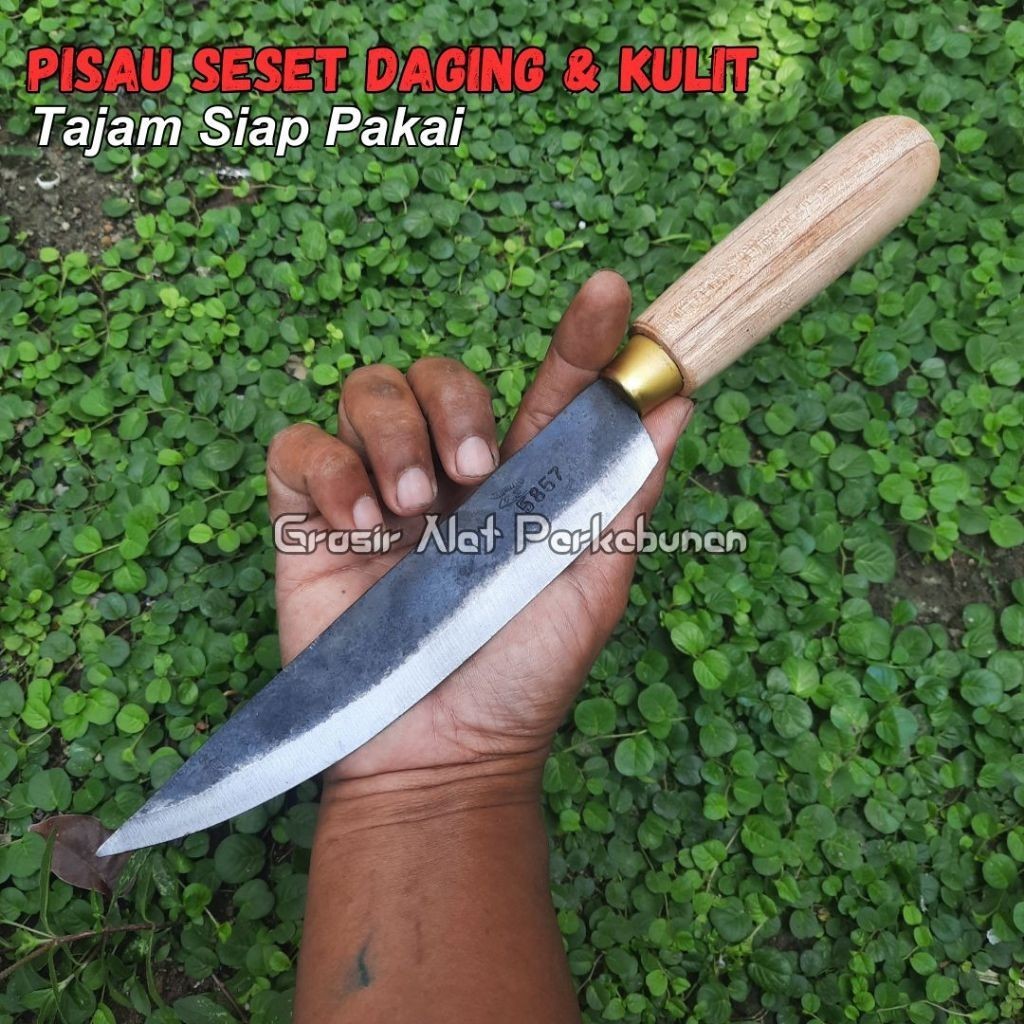 Pisau daging/pisau merak pisau seset kulit daging hewan/pisau dapur murah serbaguna