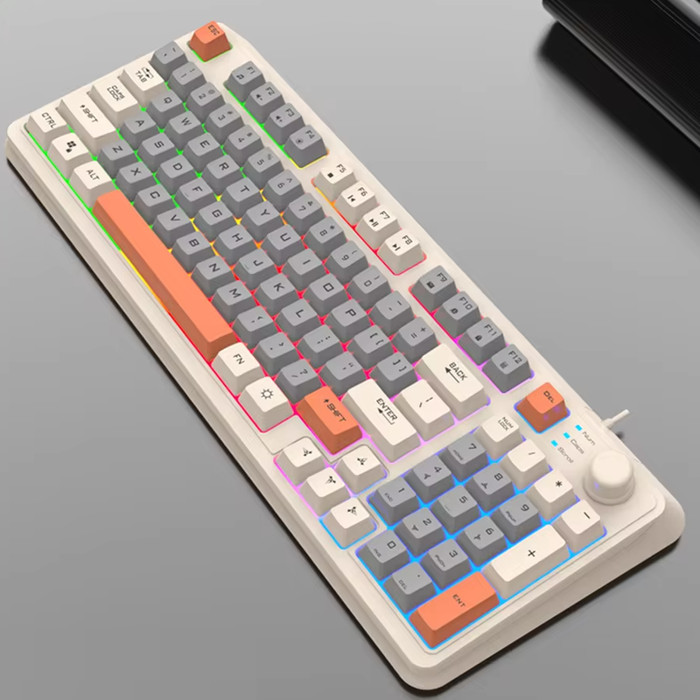 Gaming Keyboard - Wired Keyboard RGB Light / Mechanical Feel Keyboard - Bee White