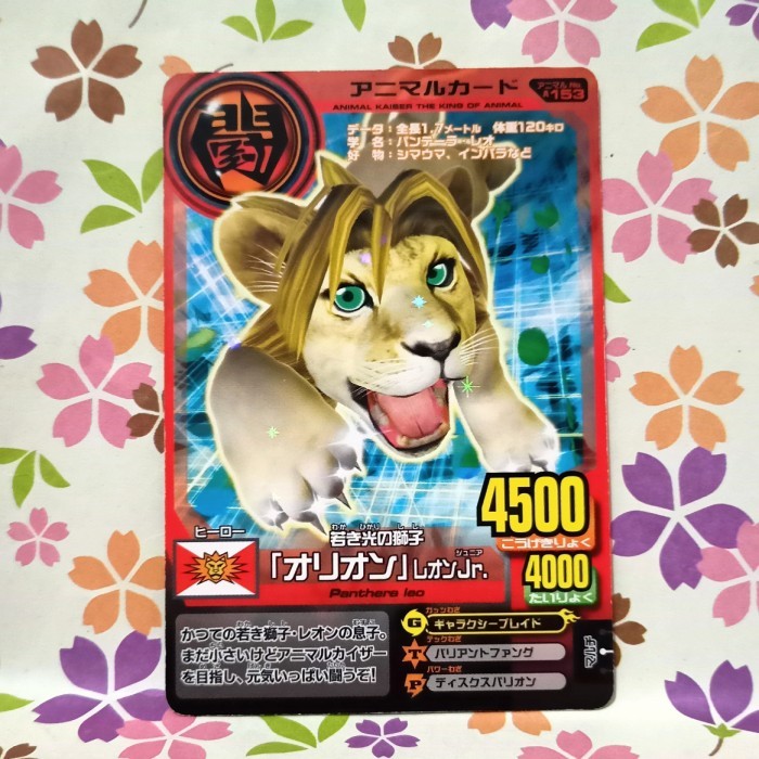 animal kaiser promo celeo leo Z77A-153 versi jepang