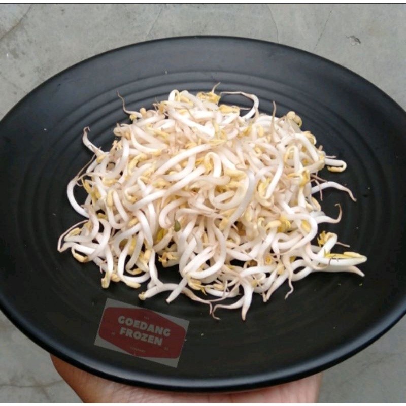 

LANGSUNG KIRIM Sayur Toge / Tauge 250gr SIAP MASAK
