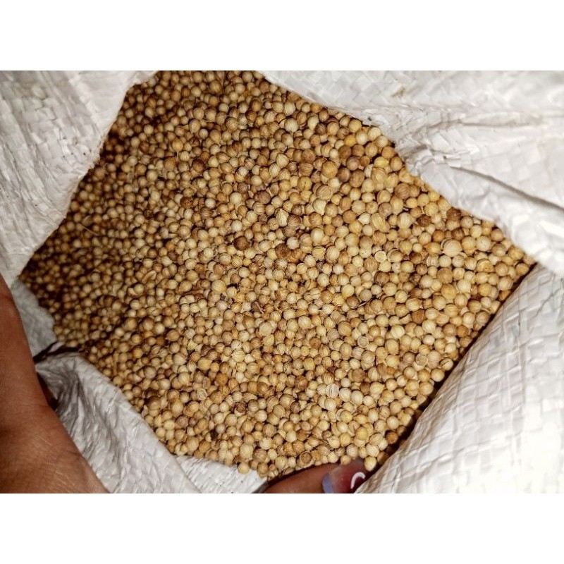 

KETUMBAR PUTIH ASLI 1KG