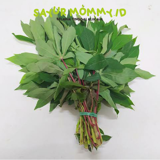 

Daun Singkong per 1 Ikat - 1 paket
