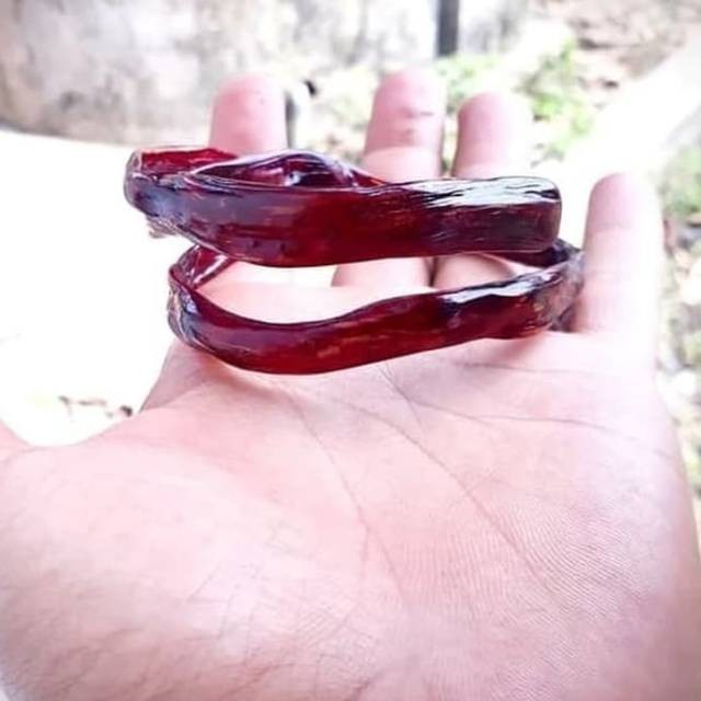 Gelang Akar Bahar Merah Delima Tembus Cahaya