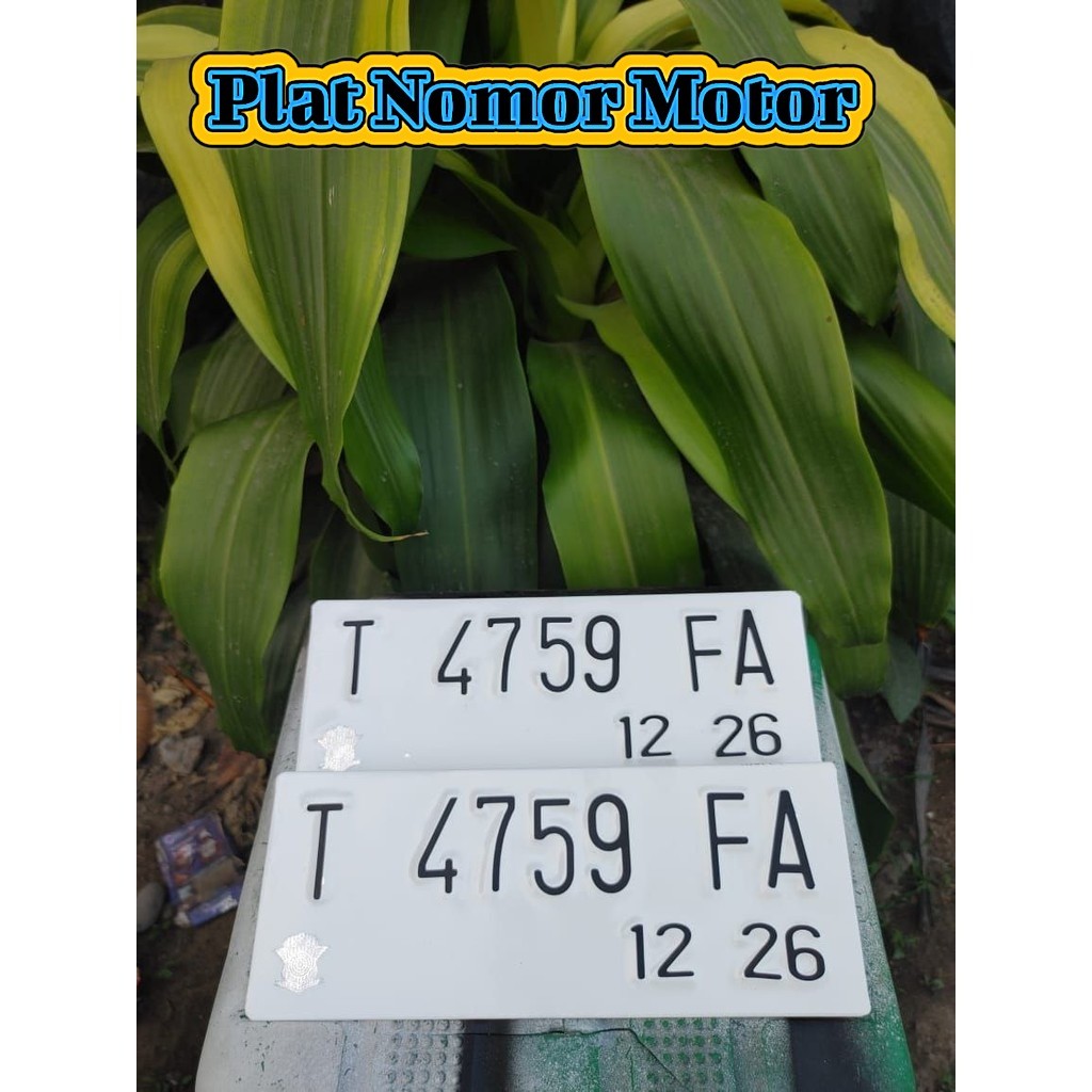 Bikin Plat Custom Motor Kecil Putih