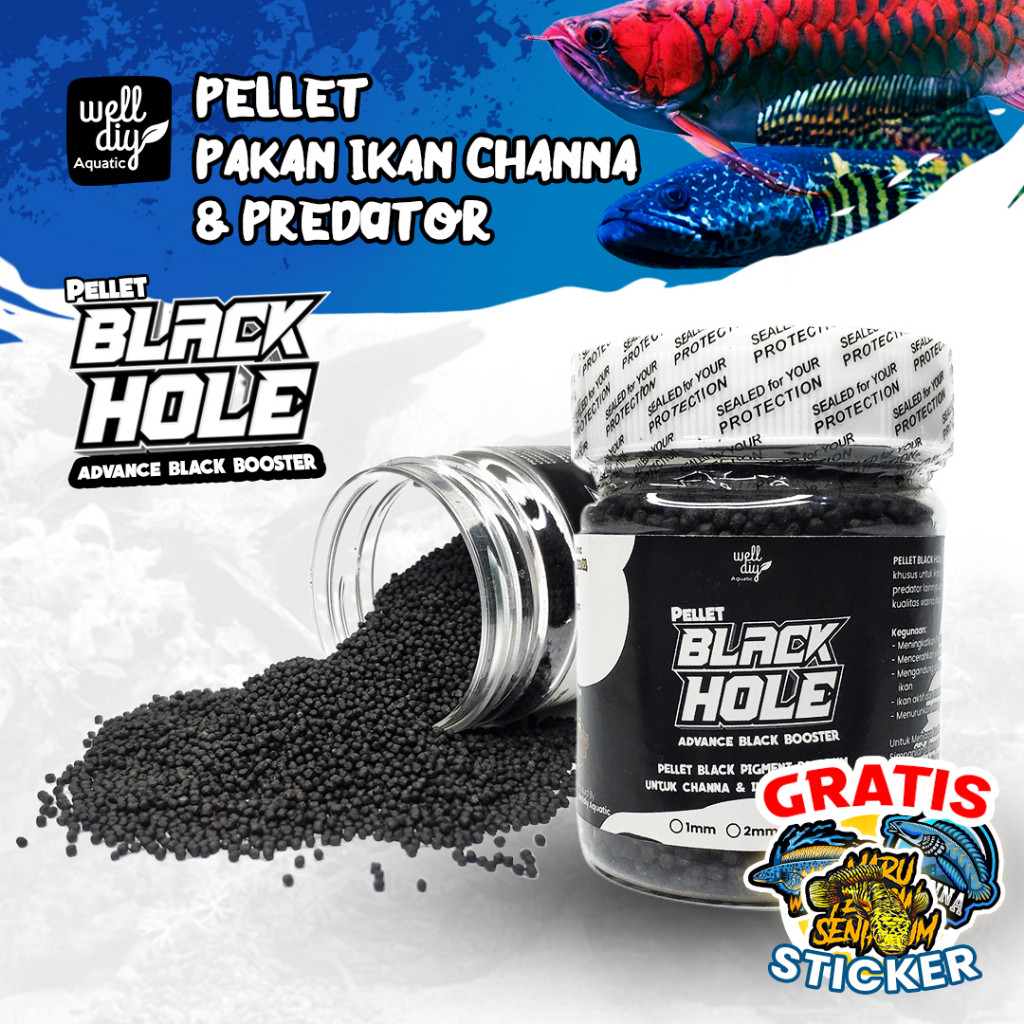 Pelet Ikan Channa Asiatica Maru Koi Koki BLACK HOLE Pigment Hitam - 50g Fish Heaven