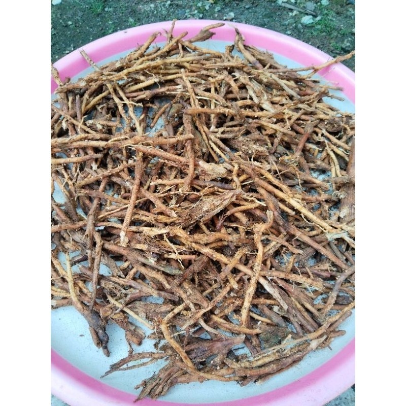 

Akar pinang kering 100gr