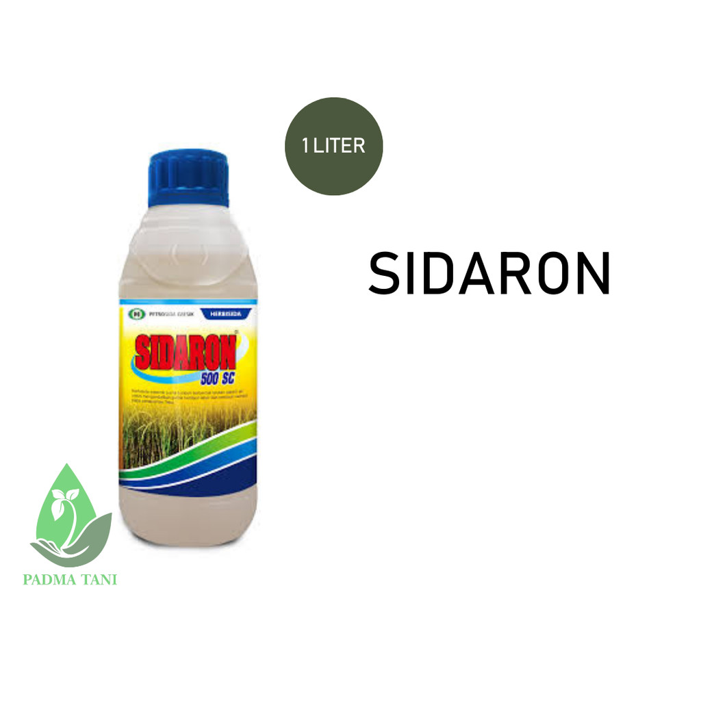 Herbisida sistemik SIDARON 500SC 1liter dari PETROSIDA GRESIK