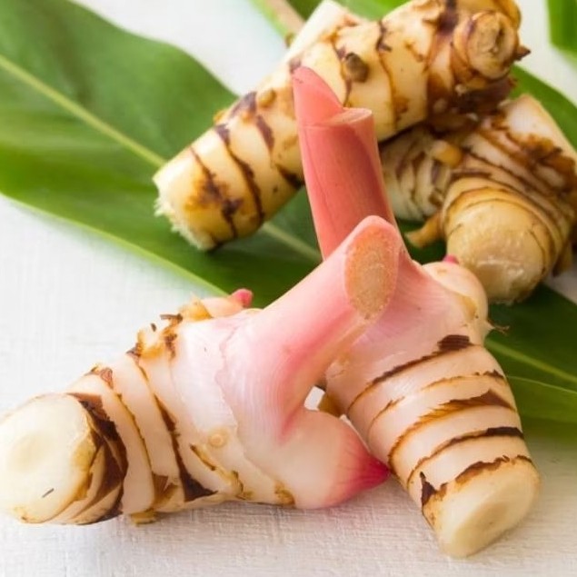 

Laos Lengkuas Bumbu 1kg