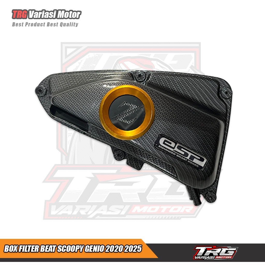 Box Filter Beat Deluxe Tutup Box Filter Beat Deluxe Carbon PNP Beat Sooopy Genio 2021 2025 Motif Z