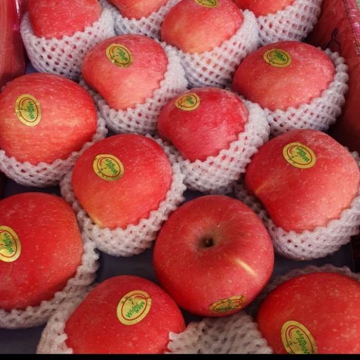 apel fuji rosy blush premium fresh Apple 1kg