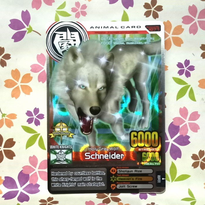 animal kaiser silver schneider evo 8