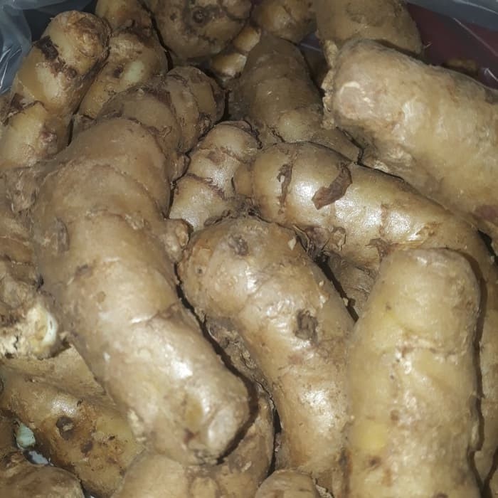 

TERMURAH 1kg Temu Ireng/Temu Hitam Curcuma Aeruginosa cod ADN