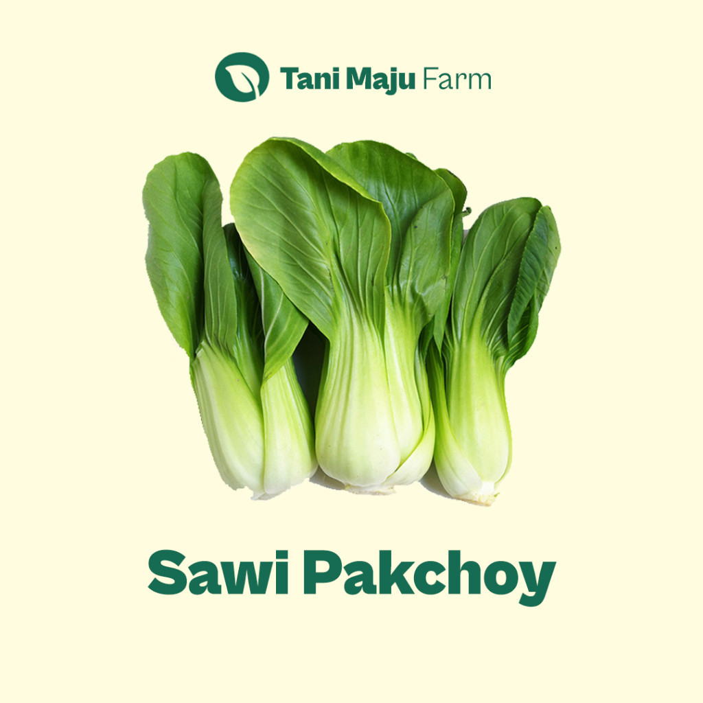 

Sawi Pakchoy Pakcoy Bok Choy Daging Hidroponik Fresh Organik (250 gram) - INSTANT / SAMEDAY - Sayuran BRKAH