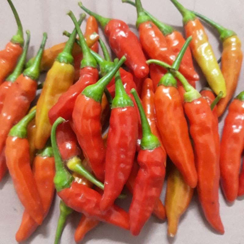 

Cabe Rawit merah segar 100gr/250/500 BRKAH