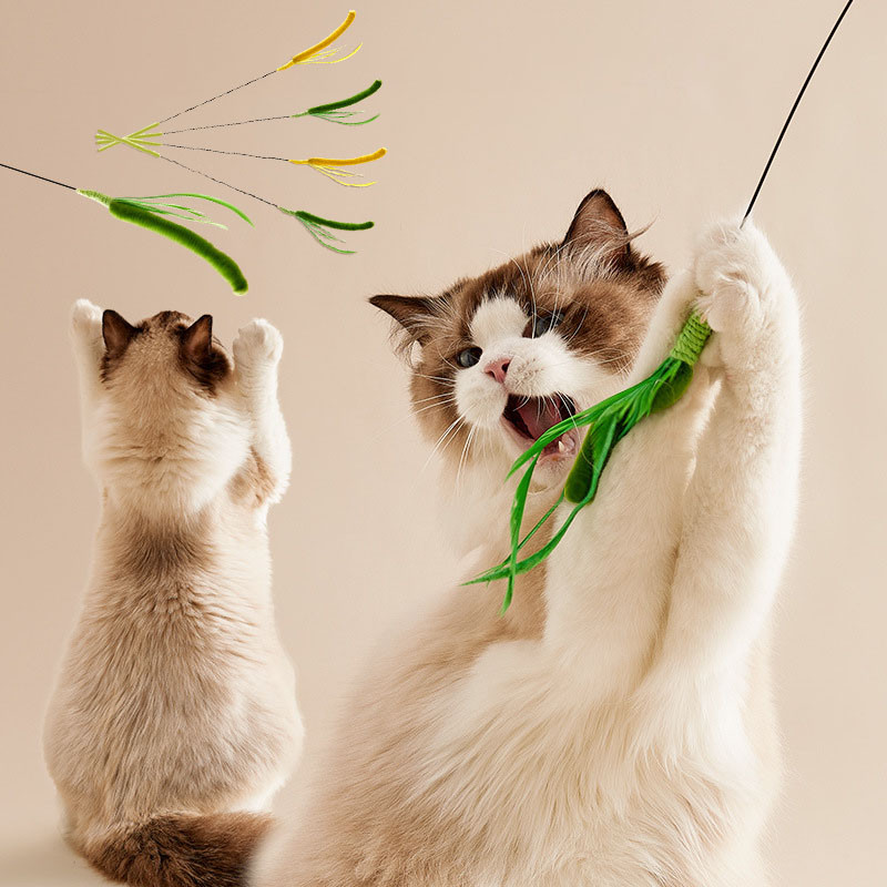 Tongkat Bulu Kucing Mainan Bulu Kucing Tongkat Lonceng Bulu Cat Teaser Stick Mainan Kucing Bulu Main