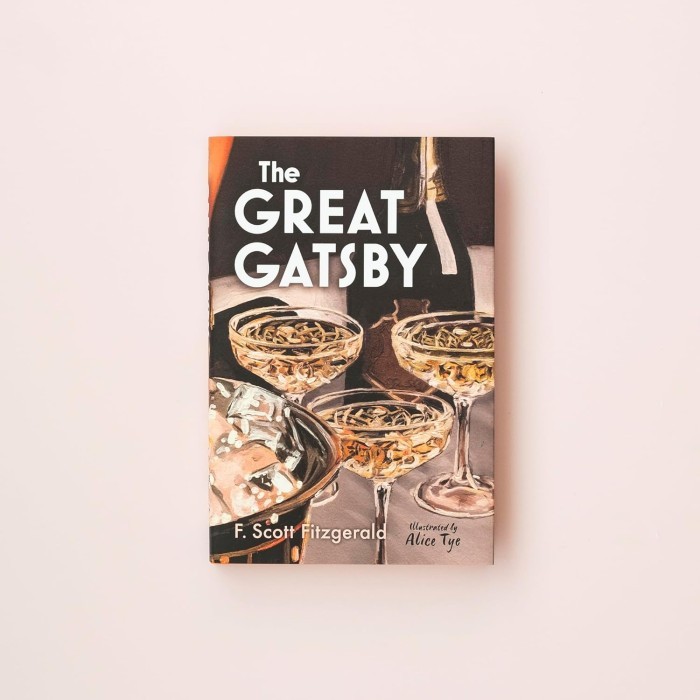The Great Gatsby: Illustrated Edition (Faber Illustrated Classics) - HC by F. Scott Fitzgerald