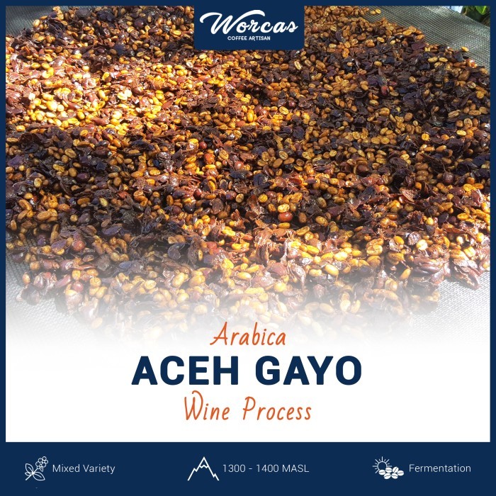 

Green Bean Arabica Aceh Gayo Wine Process 1Kg (Biji Kopi Mentah)