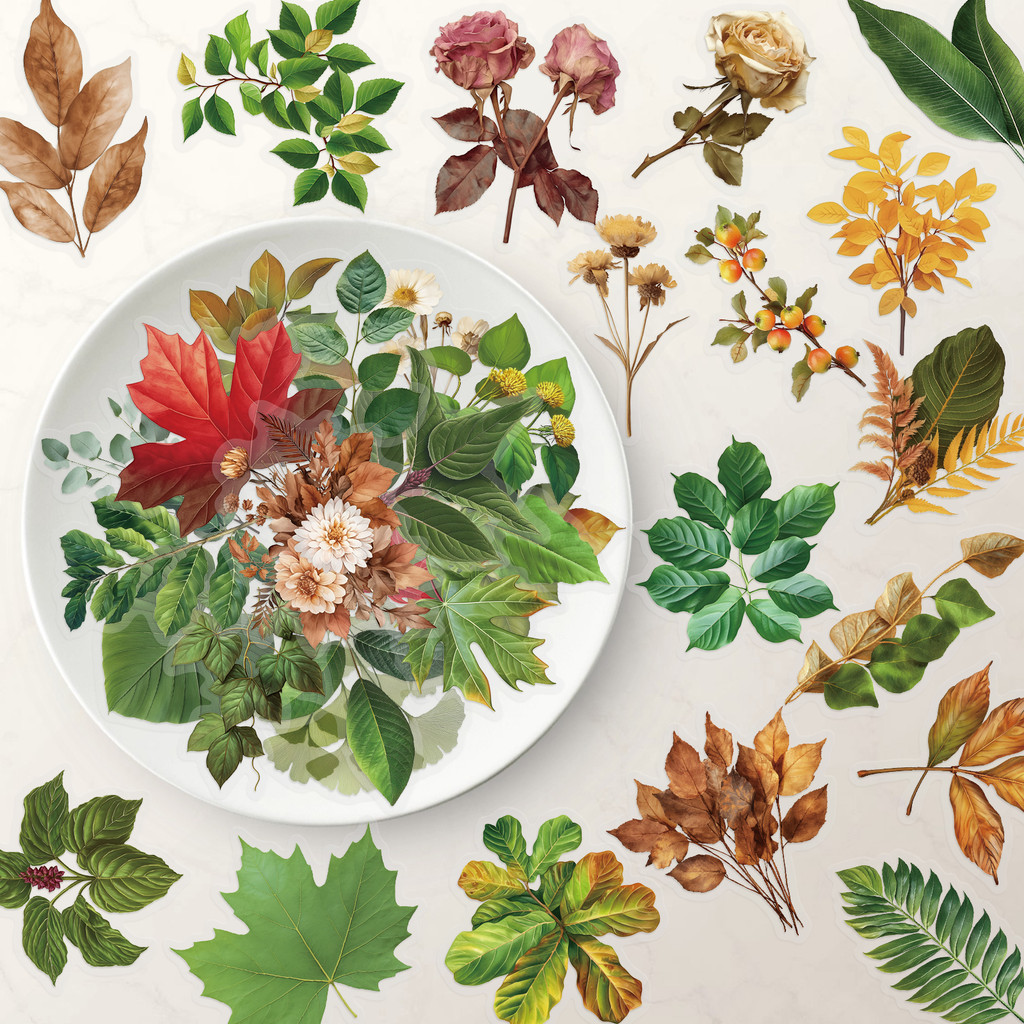 

50PCS Plant Stickers Exquisite Leaf Handbooks Material Phone Cases Laptop Suitcases Water Cups Transparent Waterproof Stickers