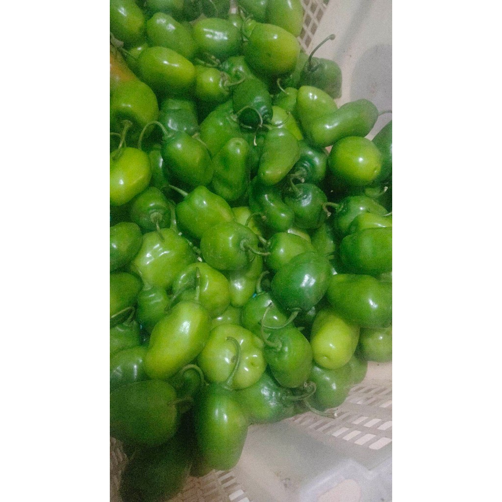 

PROMO PROMO DISKON cabe gendot 250gram