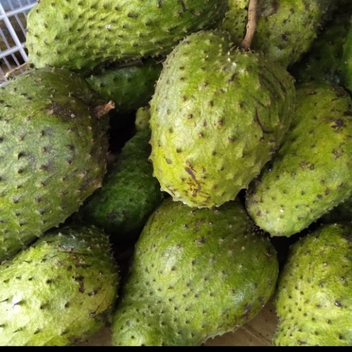 

buah sirsak mateng