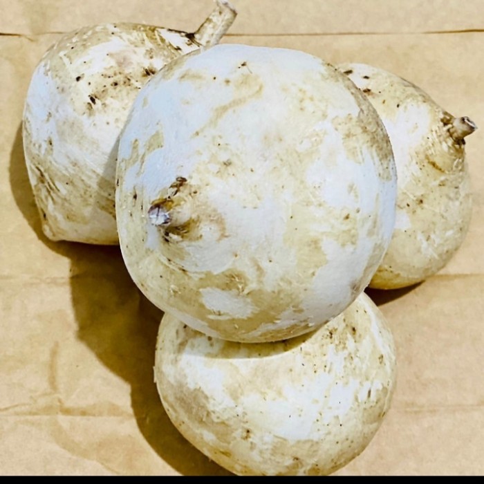 

buah bengkoang