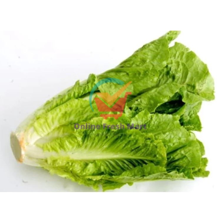 

Lettuce Romaine Hidroponik KHUSUS INSTANT - Online Fresh Mart Denpasar