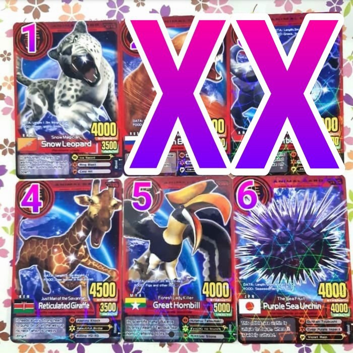 animal kaiser normal animal fighter satuan evo 7