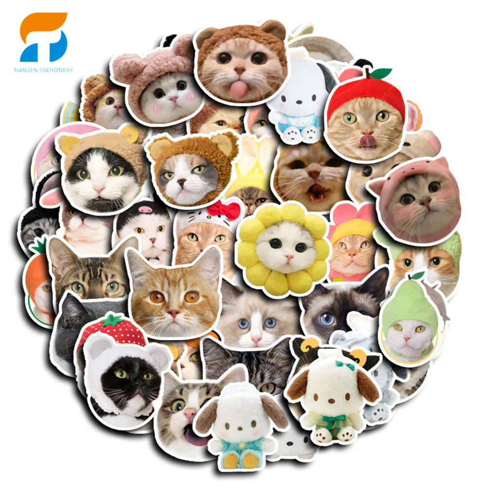 

50pcs stiker Emoji Kepala Kucing yang Lucu Kreatif DIY untuk Komputer, Washi, Scrapbooking, Laptop, Alat Tulis, Seni, dan Kerajinan.