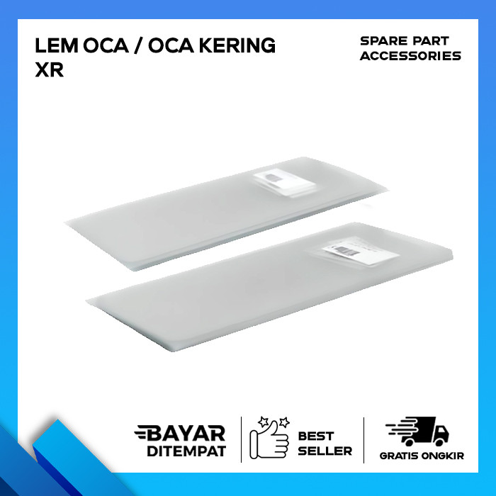 LEM OCA / LEM OCA KERING  XR