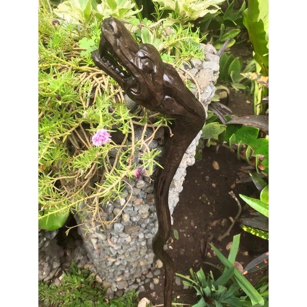 MAKRIFATBUSINESS Tongkat jalan kayu stigi hitam ukir naga