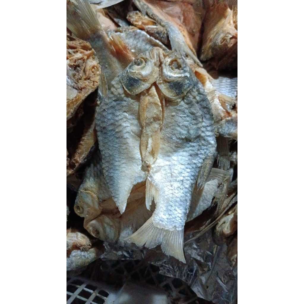 

Ikan Tawes Asin