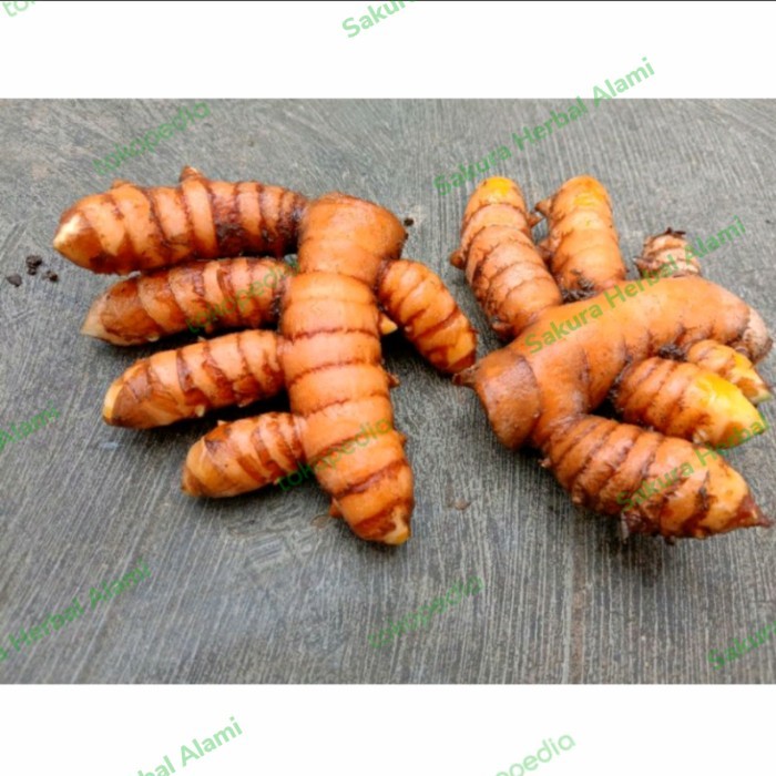 

kunyit kuning bumbu masak 250gram segar