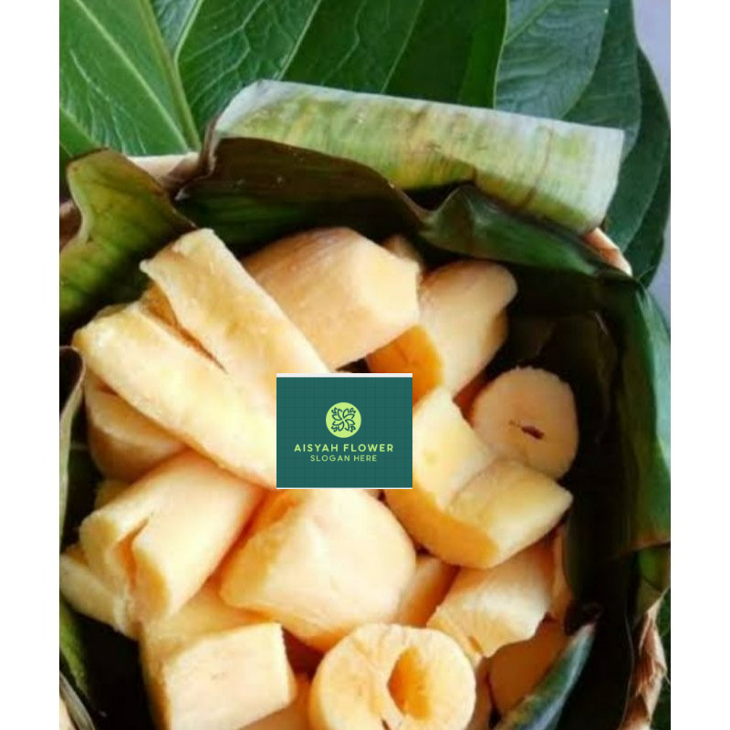 

Tape Singkong Mentega Manis 1 Kg Bikin Ketagihan